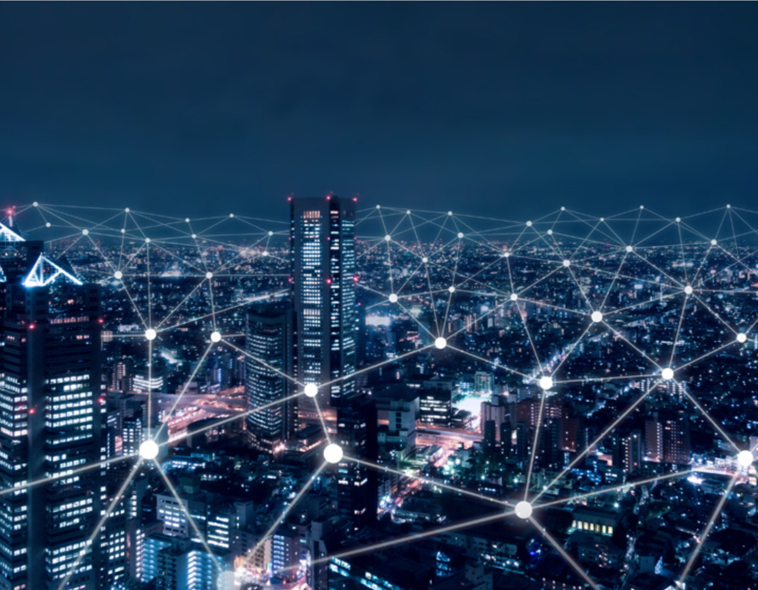 Case Study Network Services Company